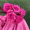 nidamuhammed2