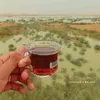 rashidali2525786