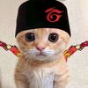daffahafidz6235