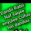 user80782608008404