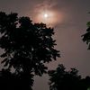saifulmondol532