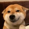 doge115