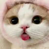 cupcakecnnamon