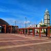 j.javier981