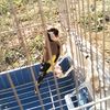 islem_kaza21