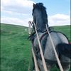 bolohan_ionut73