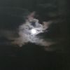 mysticalworld_1