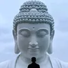 adidaphat210796