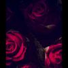 waleedalzhrani59