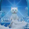 numkaeng2856