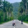 robinanneb