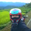 nikko888888