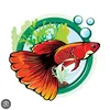 linh.guppy97
