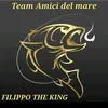 filippodiana242