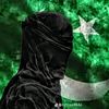 tmrsardar