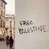 freepalestineasusual