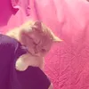 ansam__4
