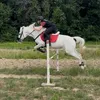 lau_and_dixy