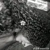 amaral.13it