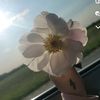 daisyrennae2710