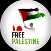 saleem23668