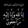 alanomar945