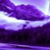 thewolf0707.com_