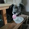 useryp4lesw3t3