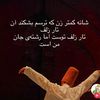 muhmmad_ali_24