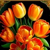 userkd5758zp9d