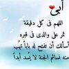 roro376362
