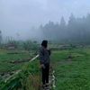 rrysbilll_