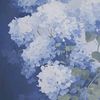 its_mydaisy