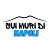 _suimuridinapoli_