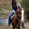 luciasousa4782
