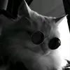 gaticoxdxd