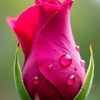 chaneel71