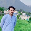 nomikh085