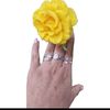 guadalupe.flores9683