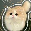 ngioc_mai
