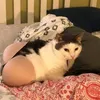 titdeptrainehehe