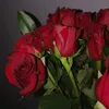 lieschen.14