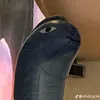 qyn_hgg