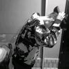 rapipp_13