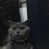 e0.3.7