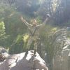 rovin.alexander3.5