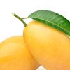 benedictramos186