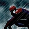 .spiderrrr