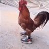 burak_2622