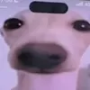 chaikacore